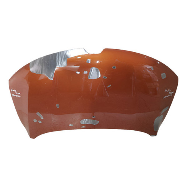 Capo Kwid 2017 2018 2019 2020 2021 2022 2023 2024 31102507