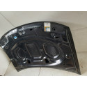 Capo Renault Duster  09042413