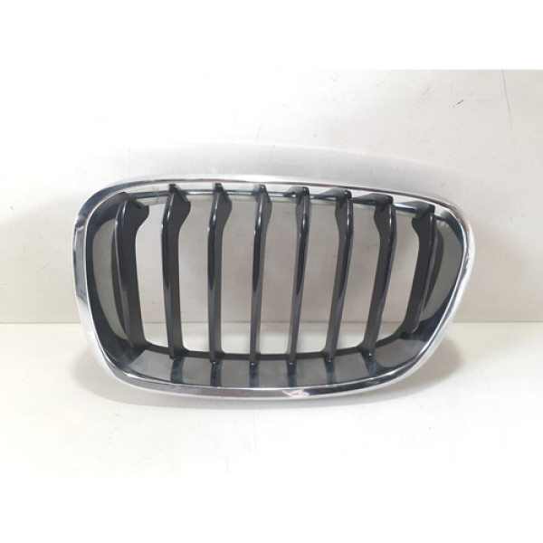 Grade Superior Dianteira Esquerda Bmw 2002 A 2016 17112301 Superior