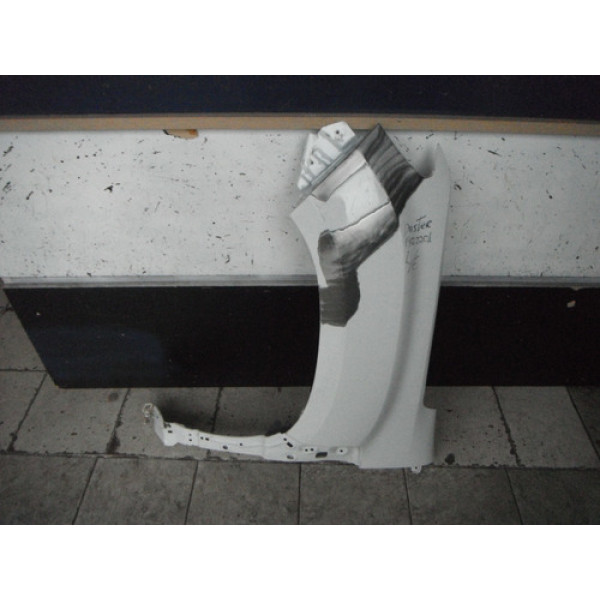 Para-lama Lado Esquerdo Renault Duster 20 21 22 23 19122201