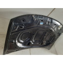 Capo Renault Duster  09042413